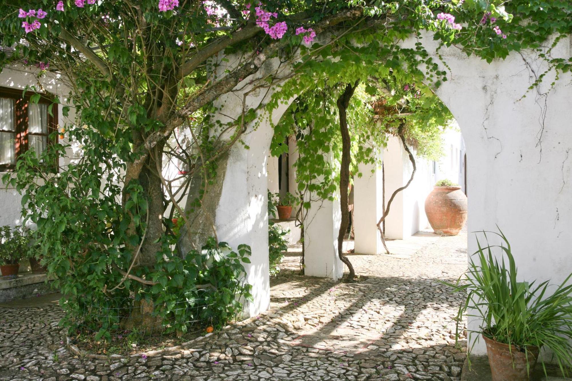 Monte Dos Pensamentos - Turismo Rural エストレモス エクステリア 写真